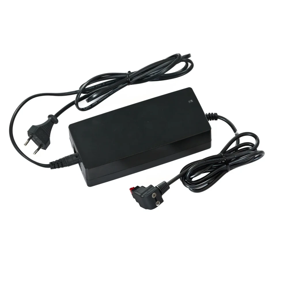 Li-Eisenposphat Charger flat Battery SP20-A0033-Y