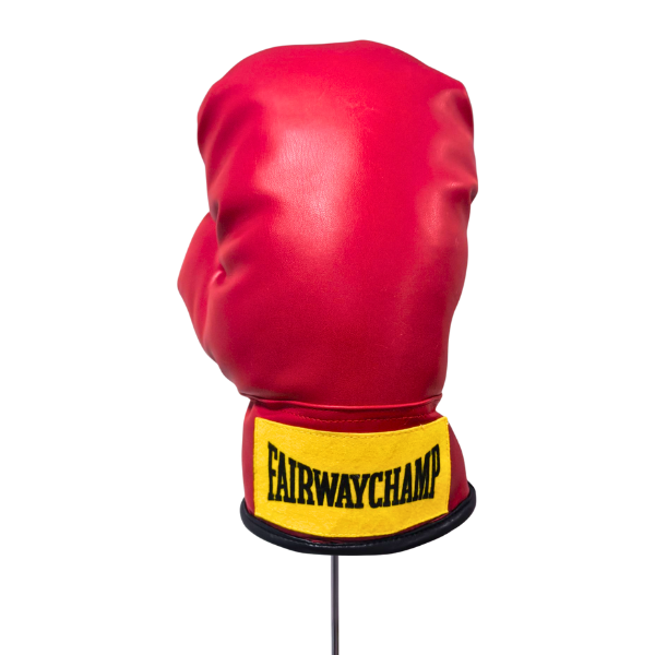 Boxhanschuh Boxhandschuh 10-Z0030_2