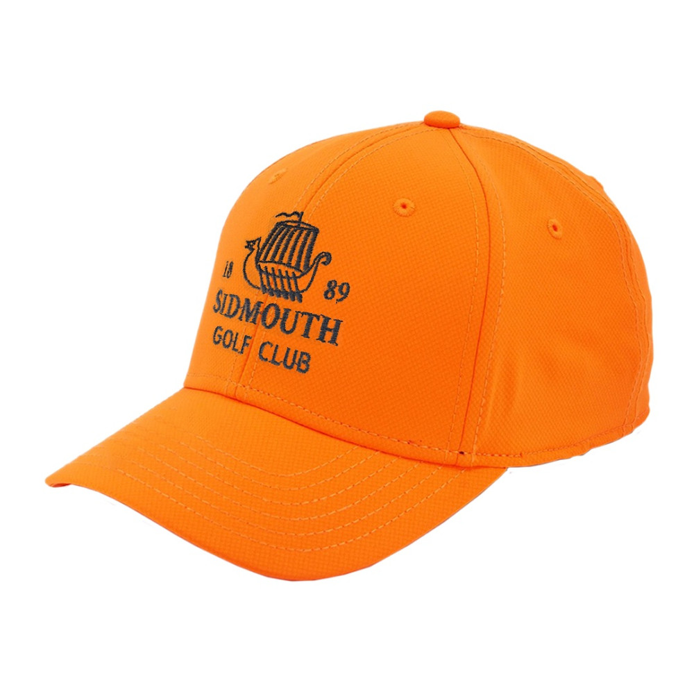ProLite L1-QA7031_10